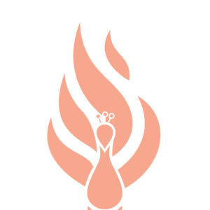 Karahi Point Dallas logo