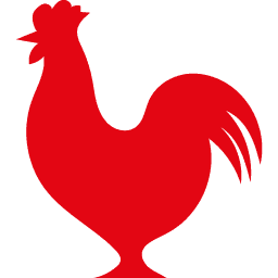 Houston TX Hot Chicken logo