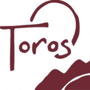 Toros logo